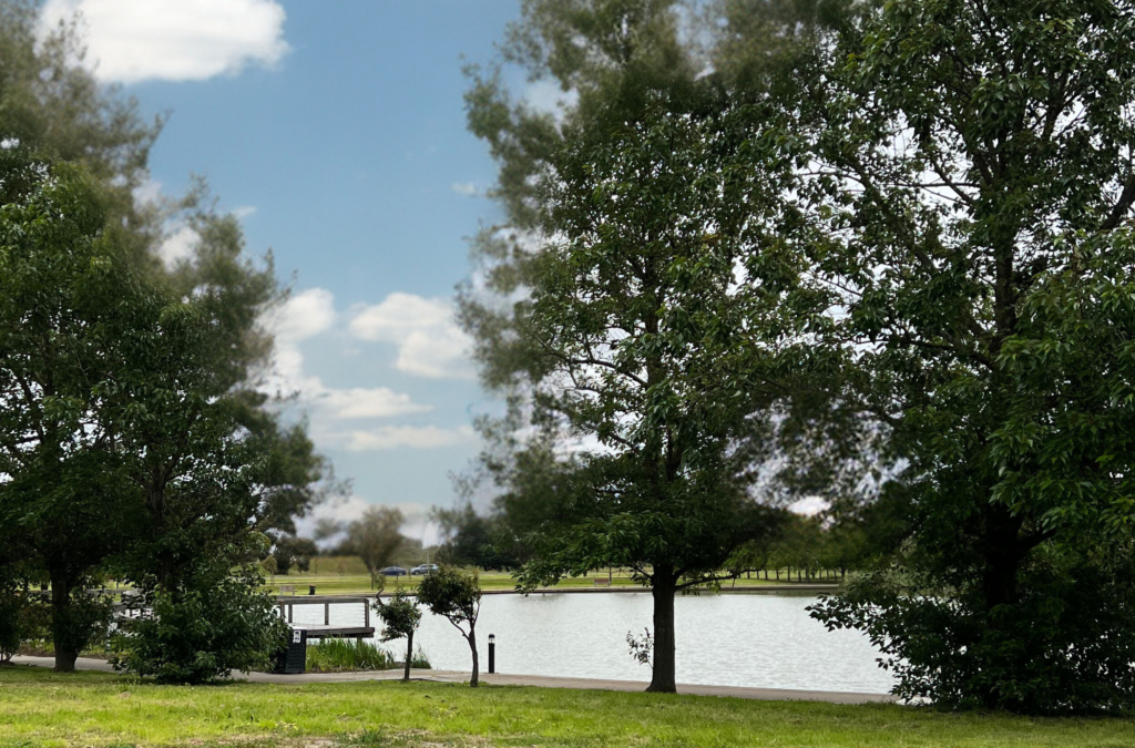 Melton by the river with trees